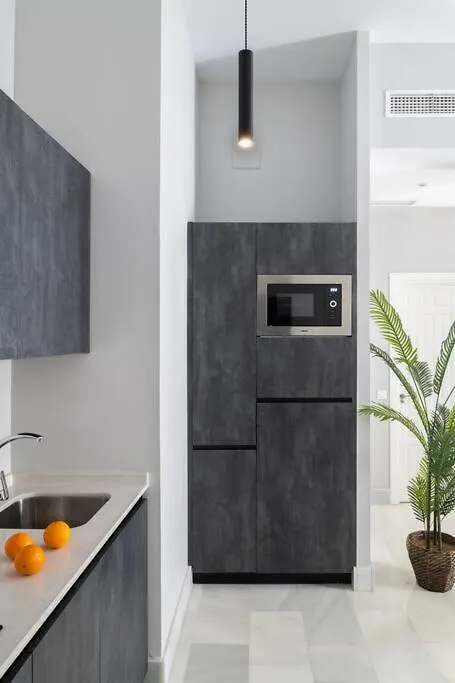 San Buenaventura Apartment 11 Seville Spain